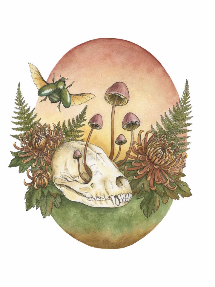 Watercolor Animal Skull With Mushrooms, Flowers, And Ferns , Botanical Illustration Of Ferns, Moth, And Mushrooms, Wall Decor for wholesale by Kyla Rae Design
