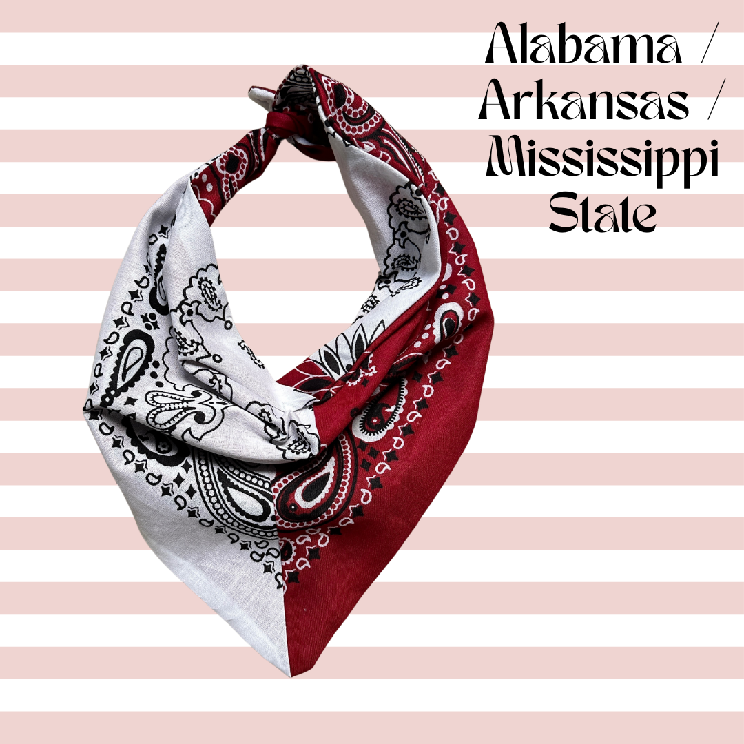 Sugar Cilantro - Wholesale Bandana - Women's - Handmade Custom Colorblocked Gameday Bandana13