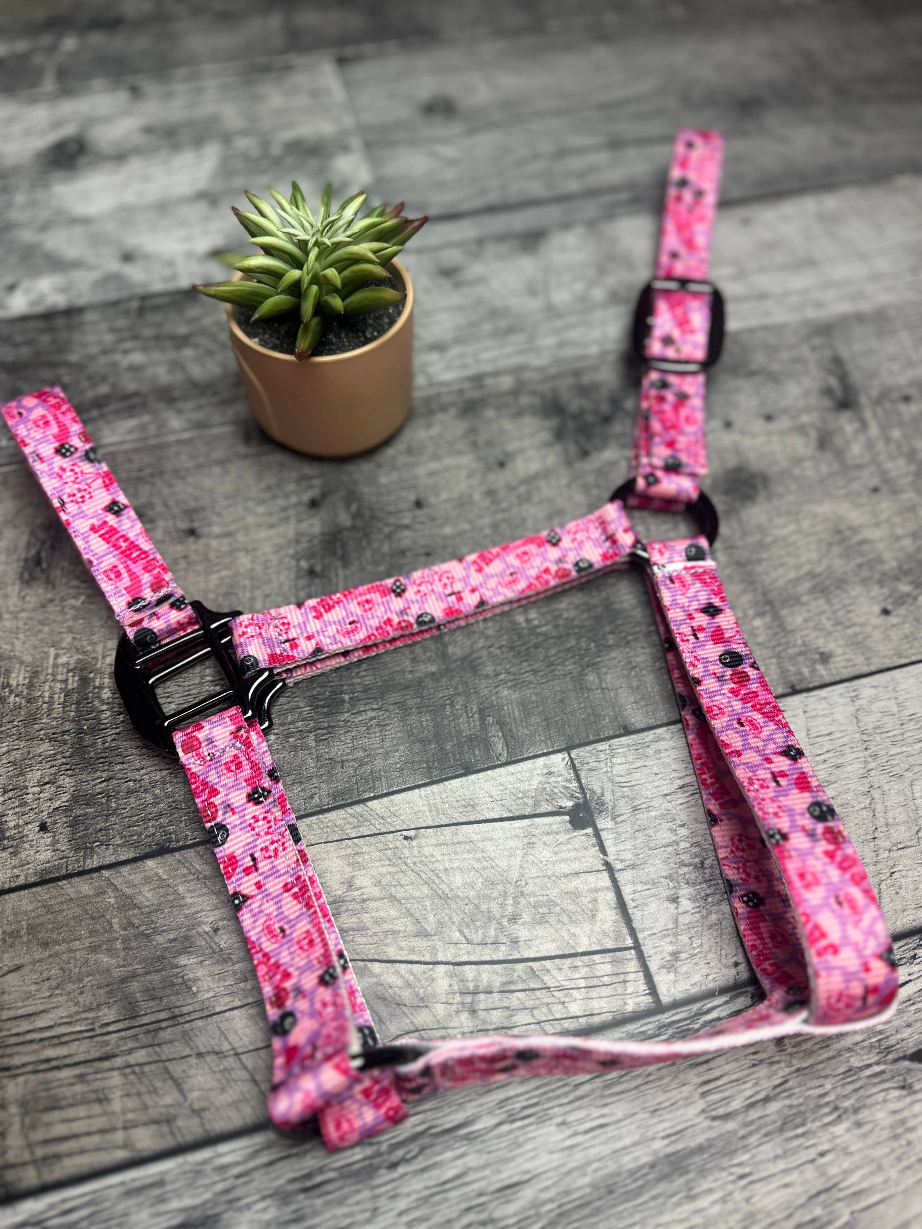 Schulz Equine - Wholesale Horseback Riding Gear - Nylon Halter - Horse Size31