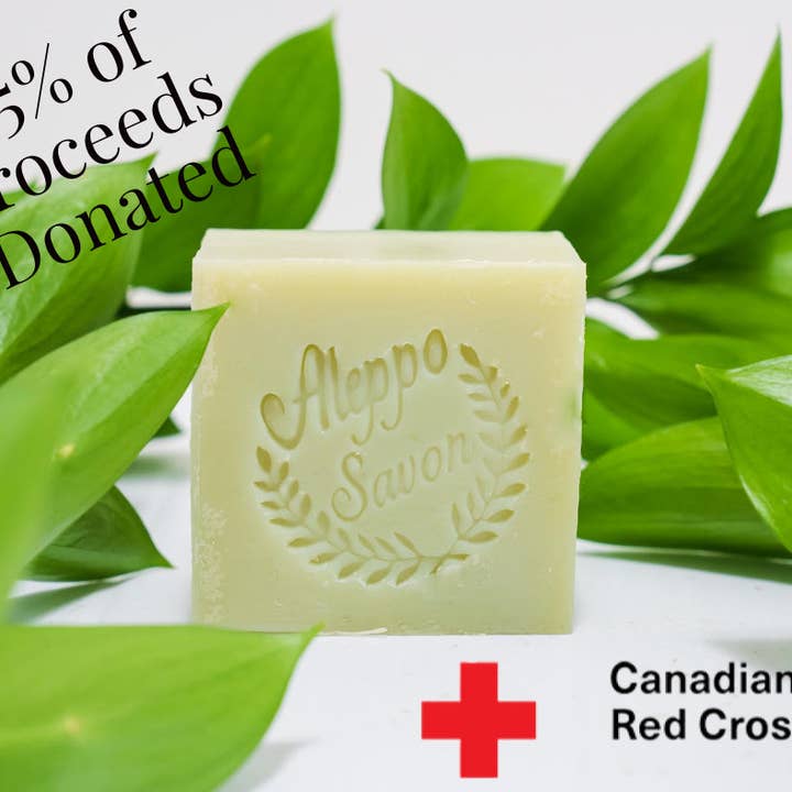Savon antibactérien au Neem - Croix-Rouge canadienne - 4 pièces pour la vente par Aleppo Savon