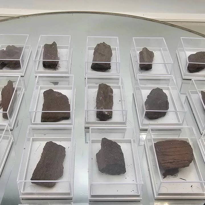 Distinction Crystals – wholesale Spiritual stone/crystal – Quartz Druzy Fossil Wood In Display Case1