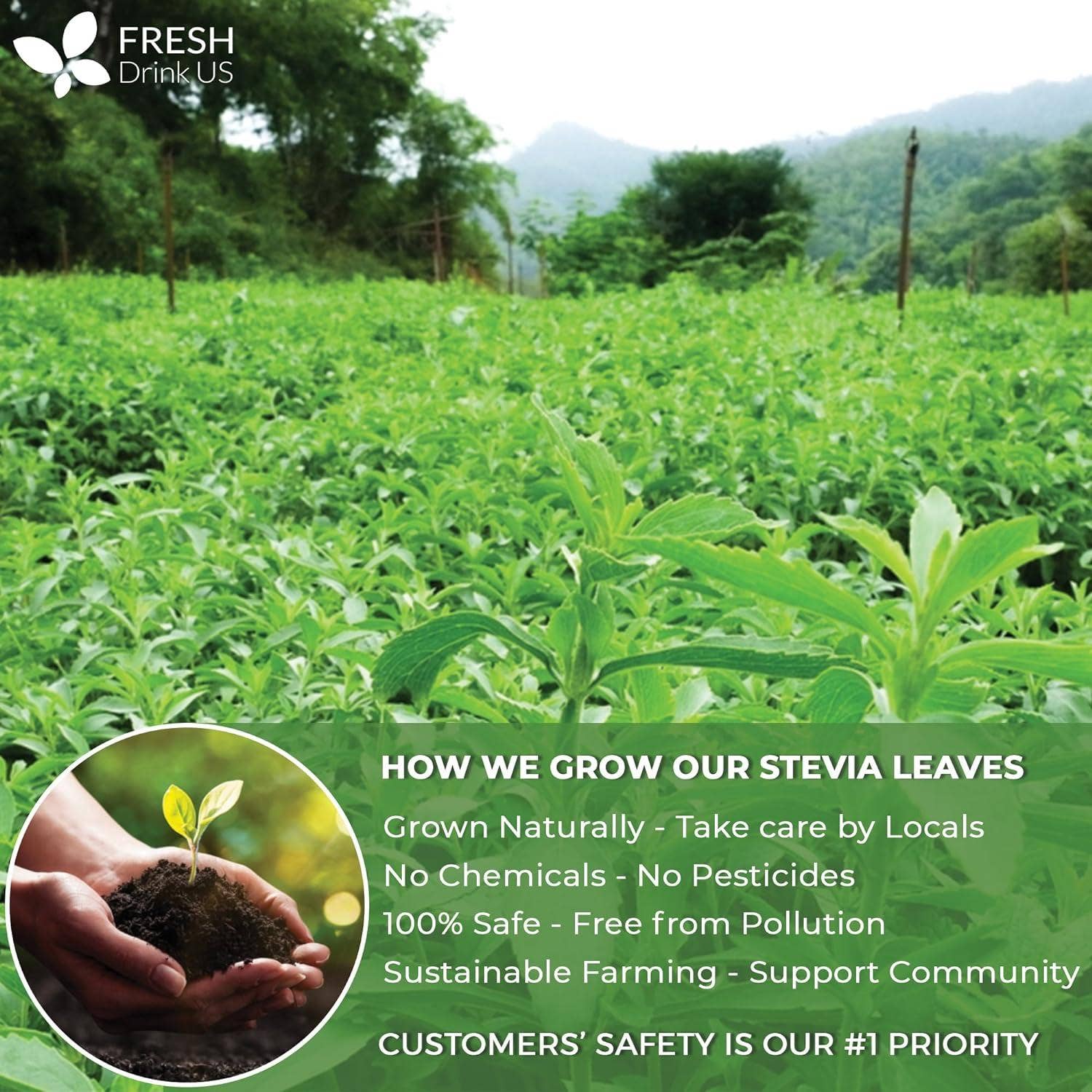 Naomi's Happy Place Shop - Wholesale Health/Detox Tea - Stevia Leaf, Whole Dried Leaves, Tea Bags, Powder, 100% Natural and Pure from Stevia Leaves. Sugar Substitute for Tea, Coffee. Loose Leaf Stevia Herbal Tea. Zero Calorie Sweetener. No Sugar, No Caffeine, No Gluten, Vegan.15