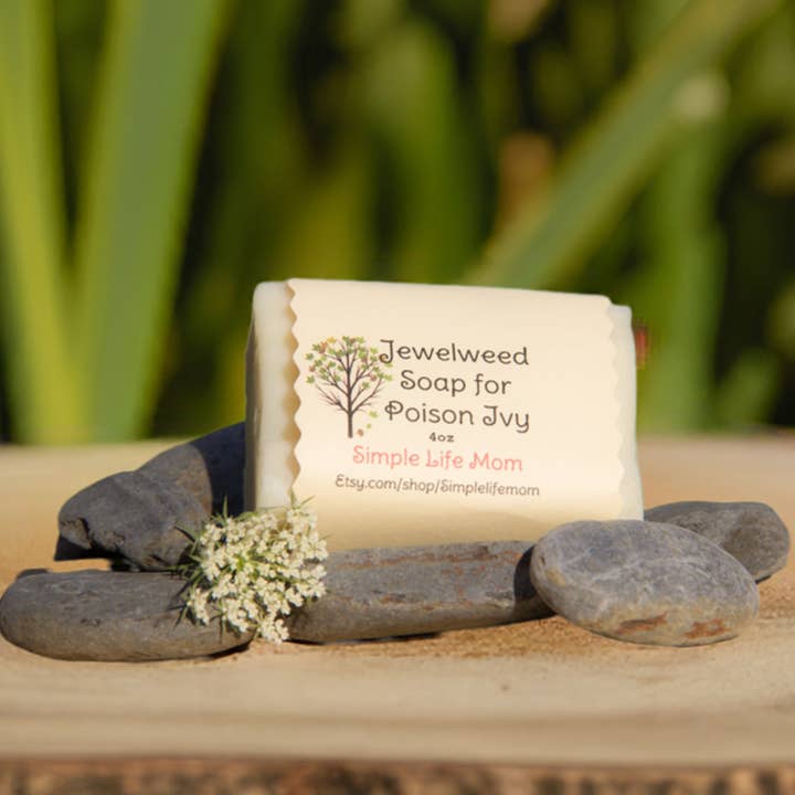 GIFTIGE EFEU-SEIFE mit Juwelkraut - Juckreizlinderung, 100% natürlich, handgemacht, natürliches Kräutermittel mit ätherischen Ölen und andere Ergebnisse für ivy and oak im Großhandel. Kostenlose Rücksendungen und 60-Tage-Zahlungsziel auf Faire im Trend auf Faire.