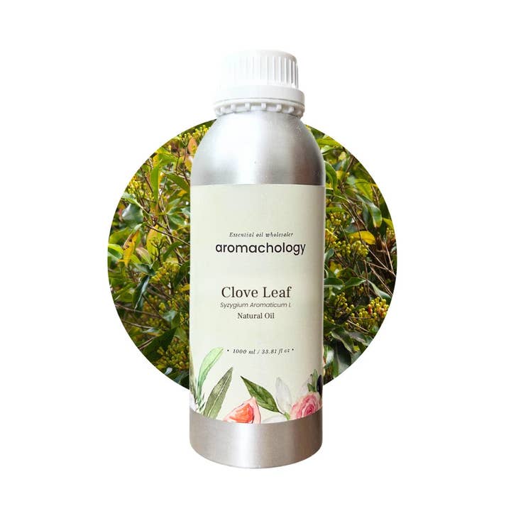 Kruidnagelbladolie voor wholesale door Aromachology