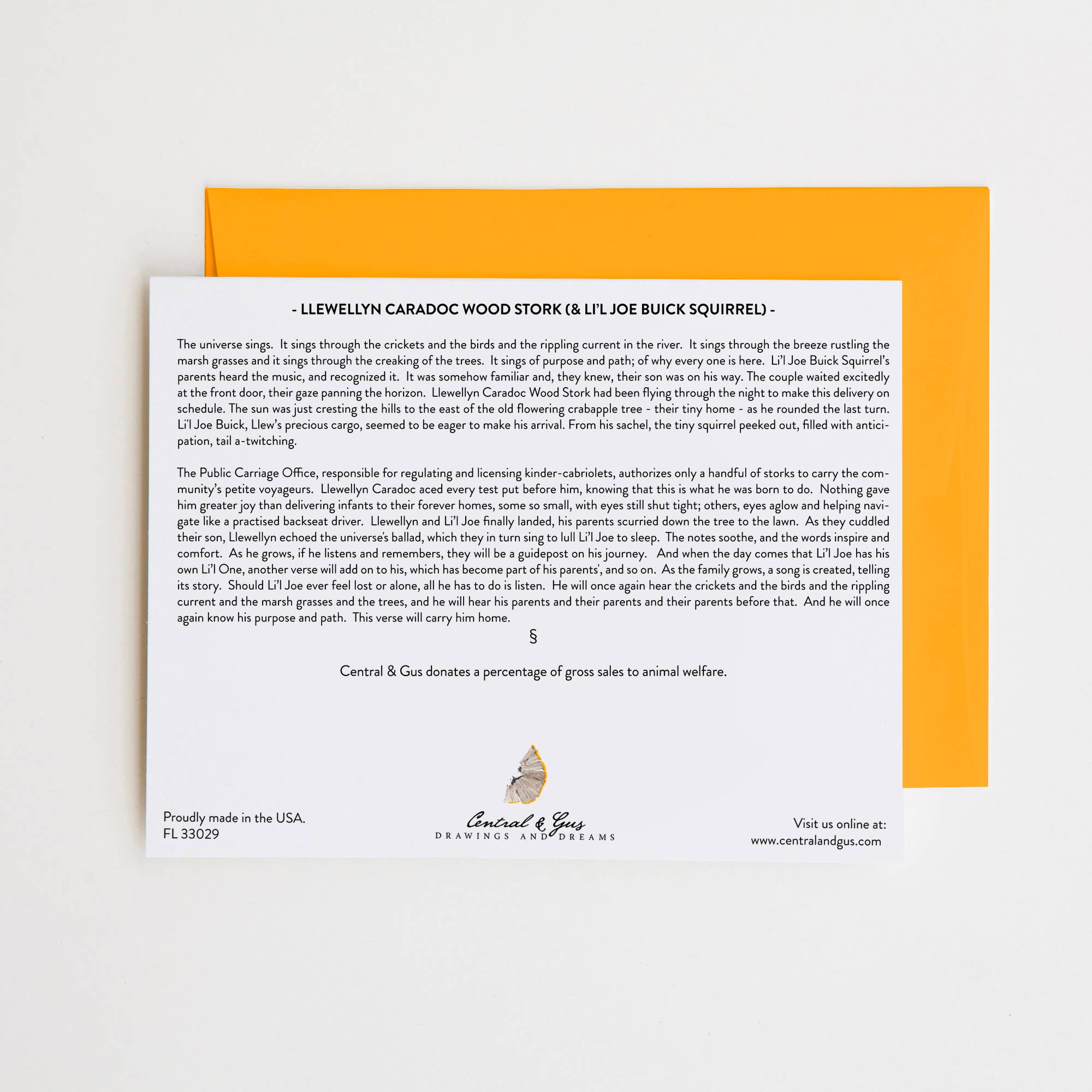 Central & Gus - Venta al por mayor Tarjetas de felicitación - Tarjeta de notas Llewellyn Caradoc Wood Stork (y Joe Buick)1