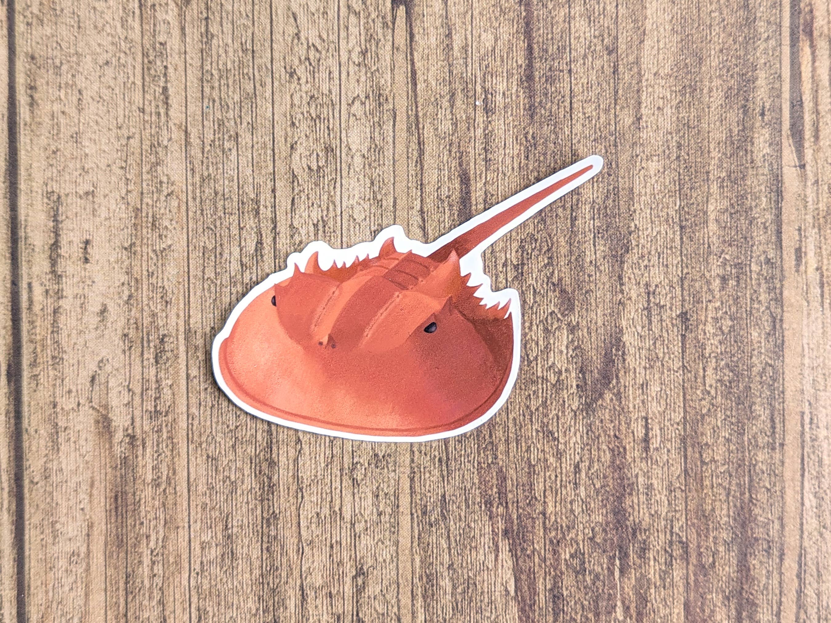 Proper Wolf - Wholesale Sticker - Horseshoe Crab Vinyl Sticker Decal2