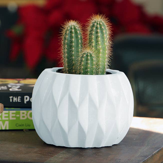 Geometry Diamond Twirl Planter for wholesale by Pacific Home & Garden