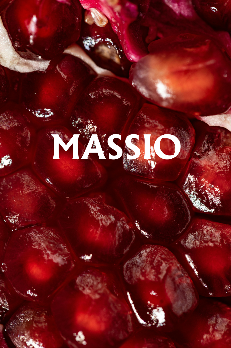 Massio Concept – wholesale Reed diffuser – Punica Granatum Reed Diffuser (200 ML)4