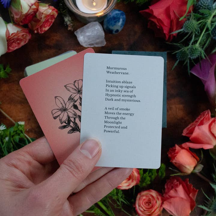 Velvetback - Wholesale Tarot Cards - 2.5" x 3.5" 60-Card Botanical Poetry Oracle Deck5