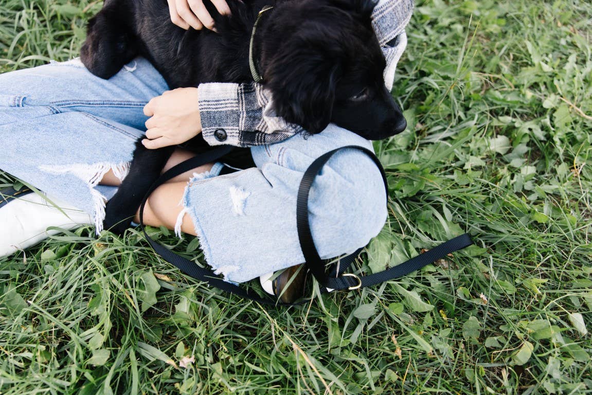 Zaley Designs - Wholesale Pet Leash - Dog - Solid Color Heavy Duty Dog Leash14