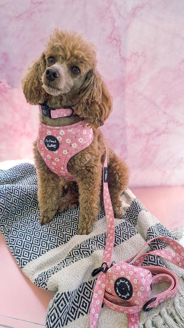 Pet Pooch Boutique - Wholesale Pet harness – Dog - Dusky Pink Daisies Floral Puppy Dog Harness6