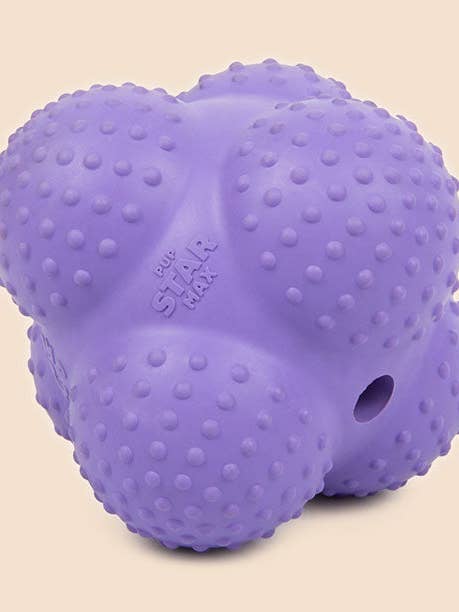 Pup Star MAX : Balle de rapport en caoutchouc 100 % naturel - Zany Bouncer pour la vente par Yomp