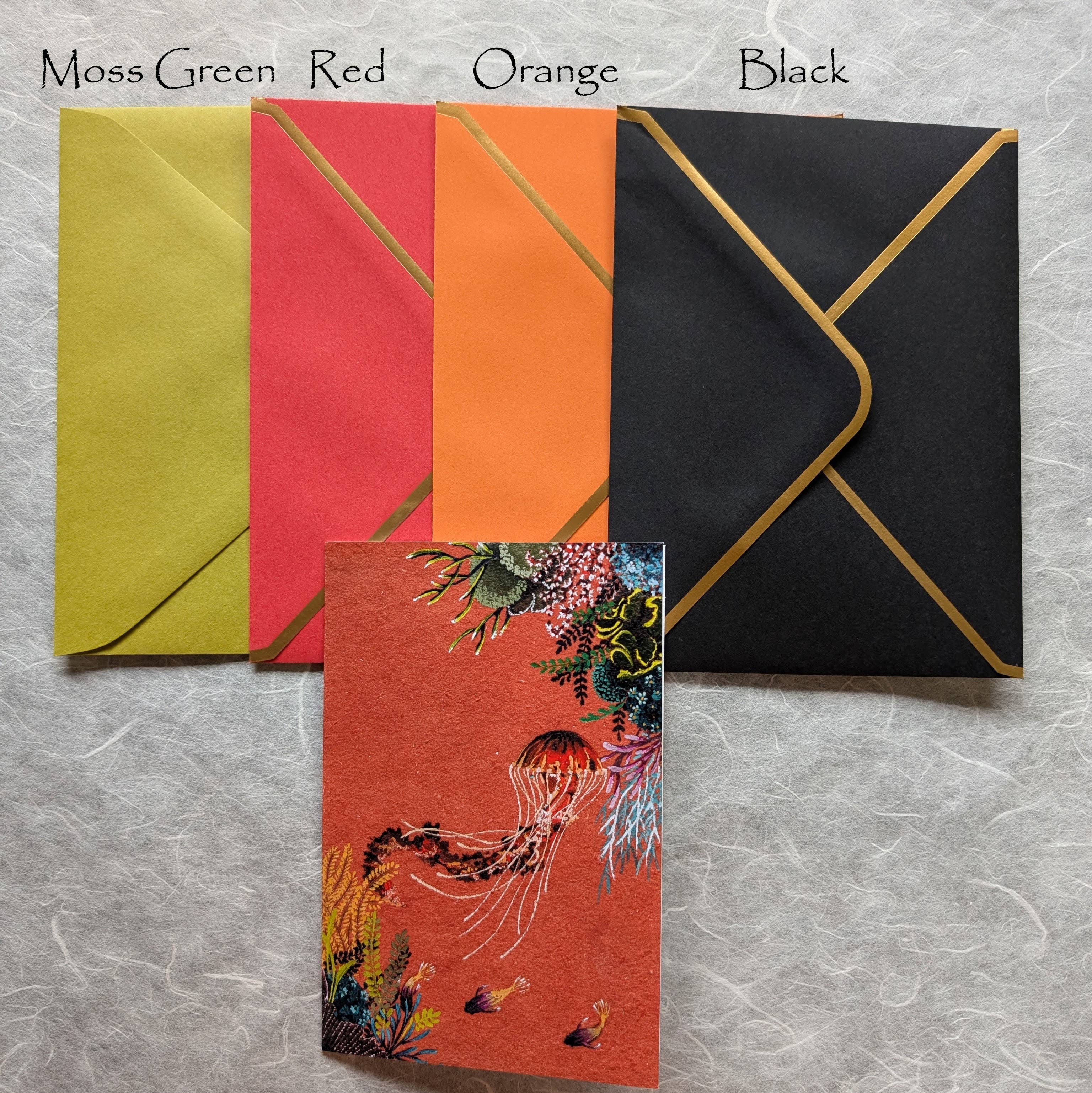 Mantis Shrimp Monocles - Wholesale Everyday Greeting Card - Black Sea Nettle Greeting Card2