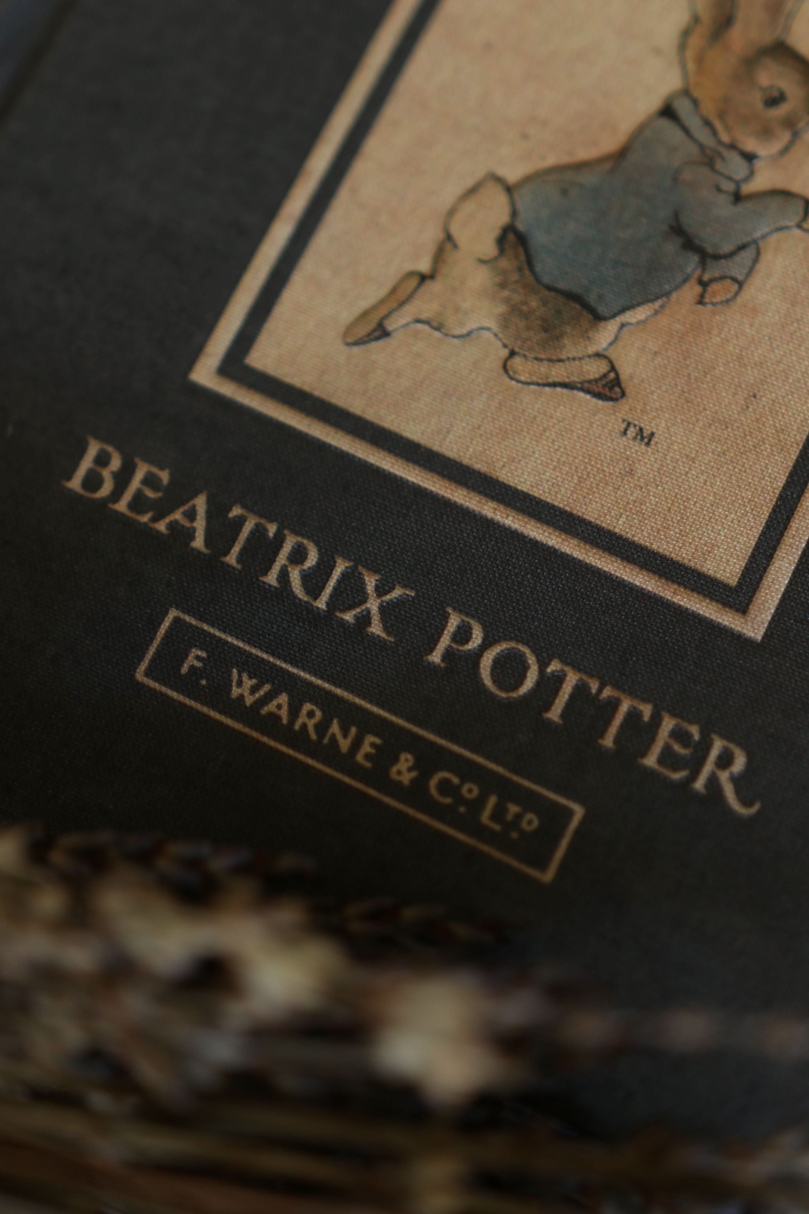 Novel Book Store - Vente Journal intime - Le Conte de Pierre Lapin de Beatrix Potter 1902 - Carnet de notes4