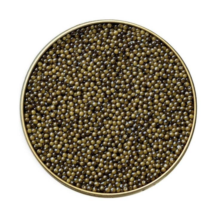 Osetra Classic Caviar for wholesale by Number One Caviar LLC