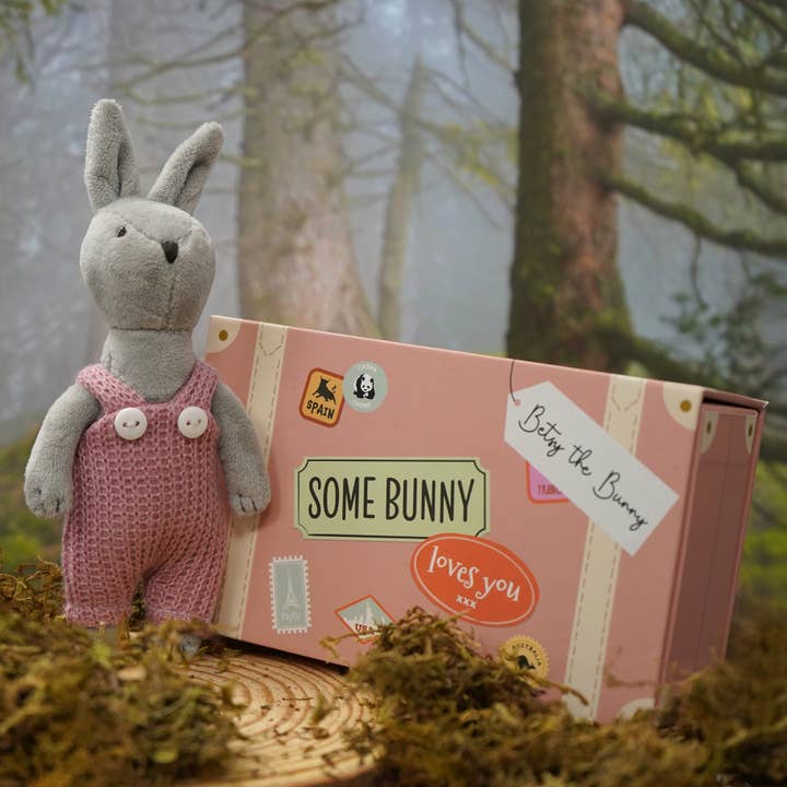 Wild Wanderers 'Betsy The Bunny' Matchbox Toy for wholesale by CGB Giftware