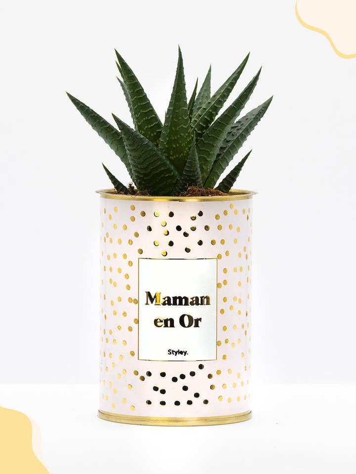 Maman En or - Cactus - Finition Doré for wholesale by Styley