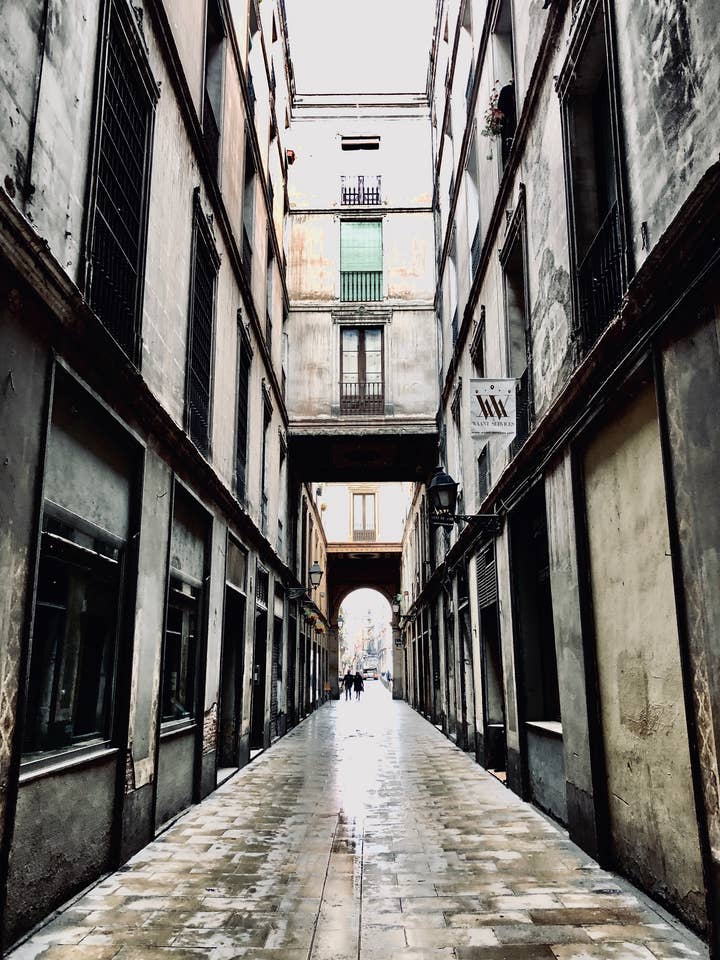 Camino por atacado de Mister Antonio Art