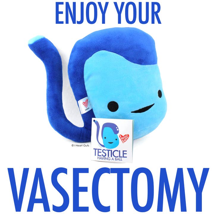 I Heart Guts | Organ Plushies Wholesale – wholesale Stuffed/plush toy – Kids & baby – Testicle Plush - Having a Ball