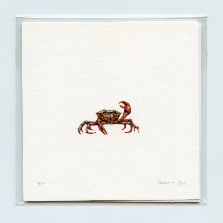 Dorinda for wholesale by Paintings For Hummingbirds