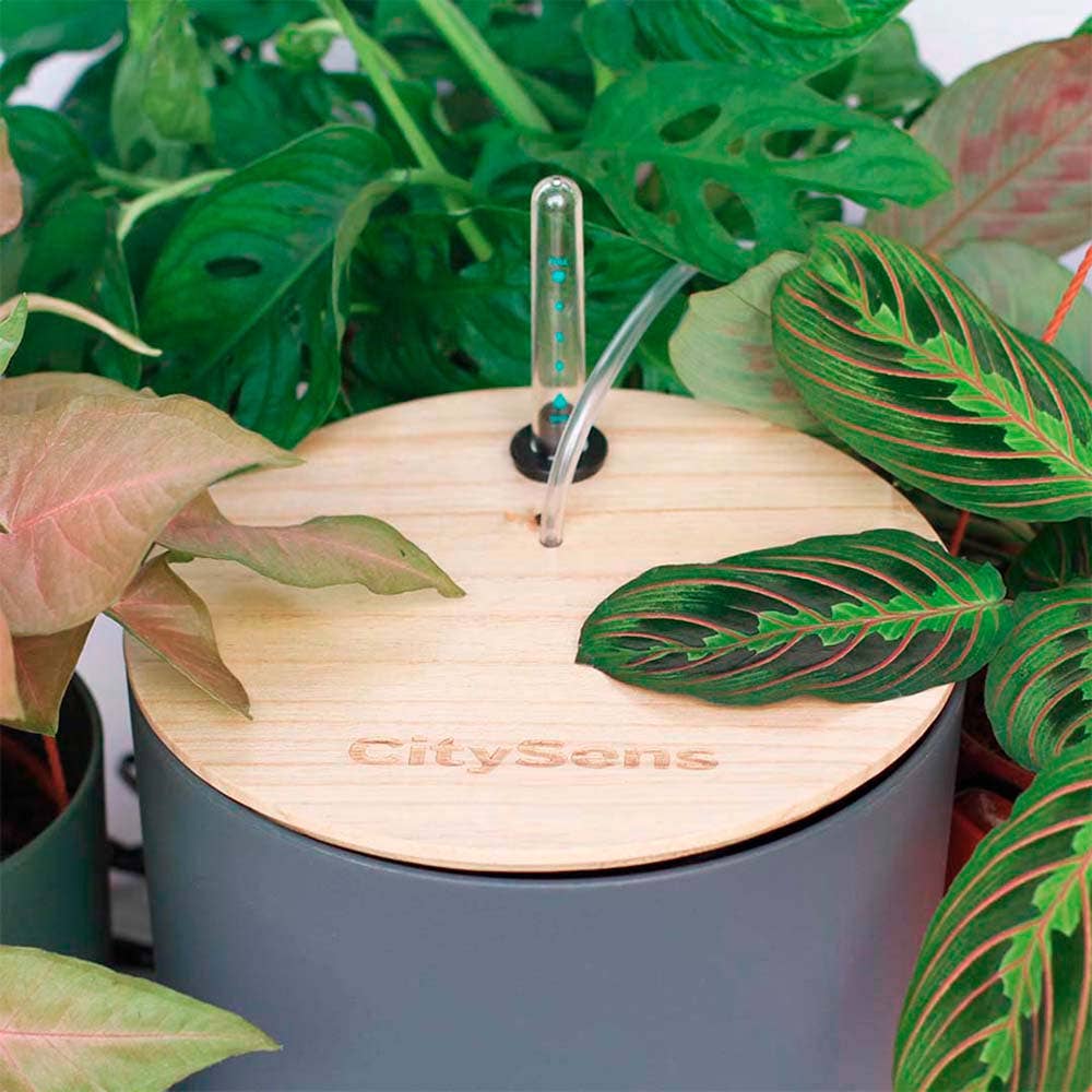 CitySens - Venta al por mayor Regaderas - Sistema de riego por goteo automático con tanque de agua0