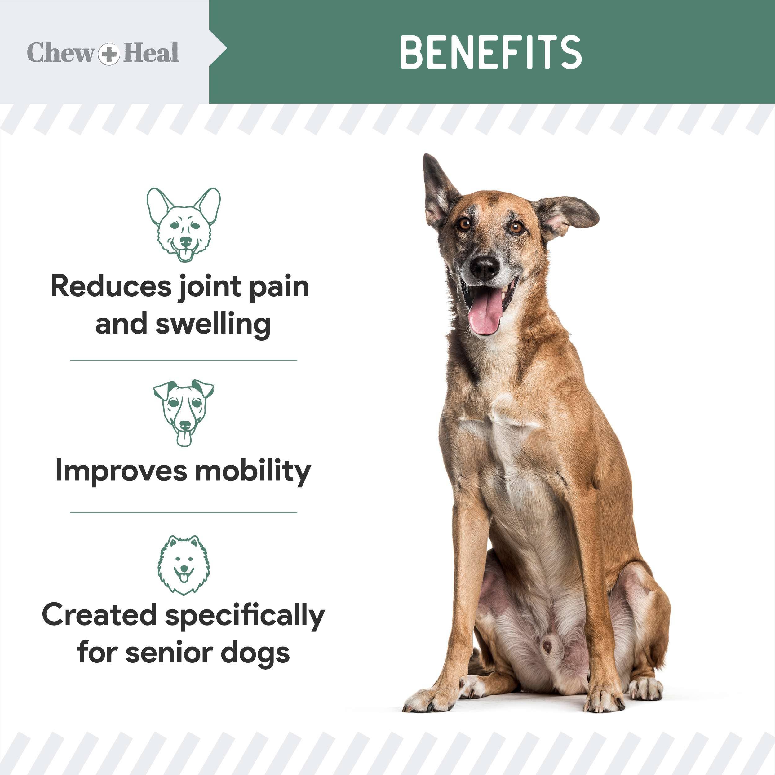Chew + Heal - Wholesale Pet Supplement - Dog - Senior Advanced Hip and Joint Soft Chews - Upgraded Formula4