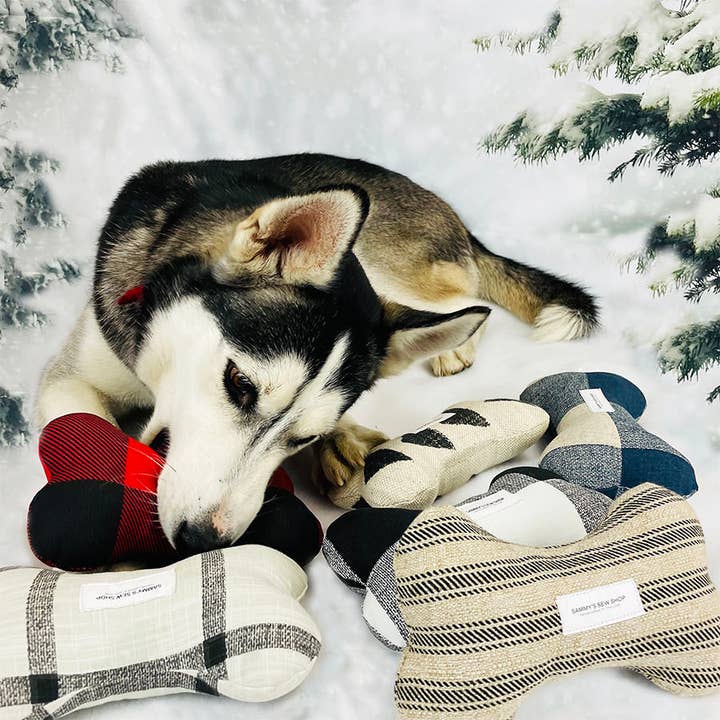 Cuddl - Wholesale Pet Squeaky Toy - Dog - Ticking Stripe Dog Bone Squeaky Toy