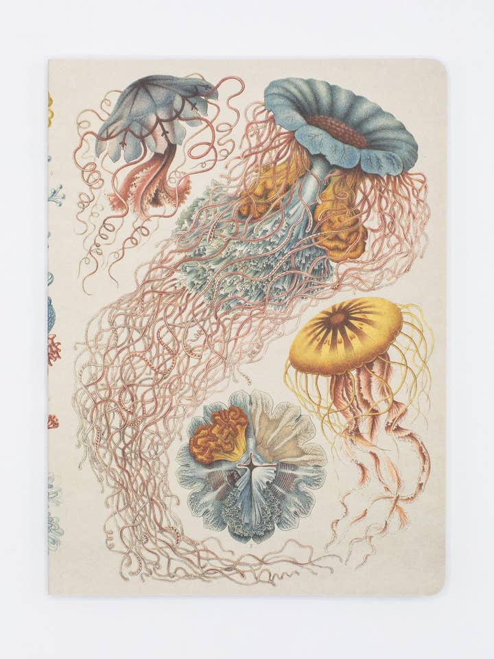 Haeckel Jellyfish Softcover Notebook - Dot Grid (Case of 6) for wholesale by Cognitive Surplus
