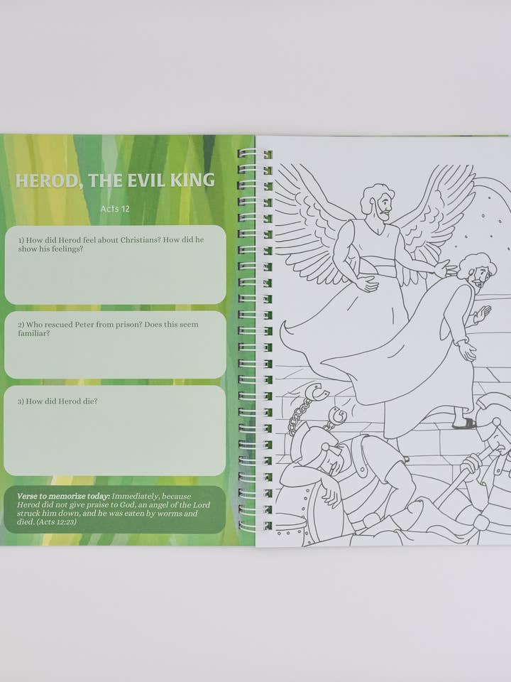 Good News: The Story of Acts Journal for wholesale by Kaleidoscope