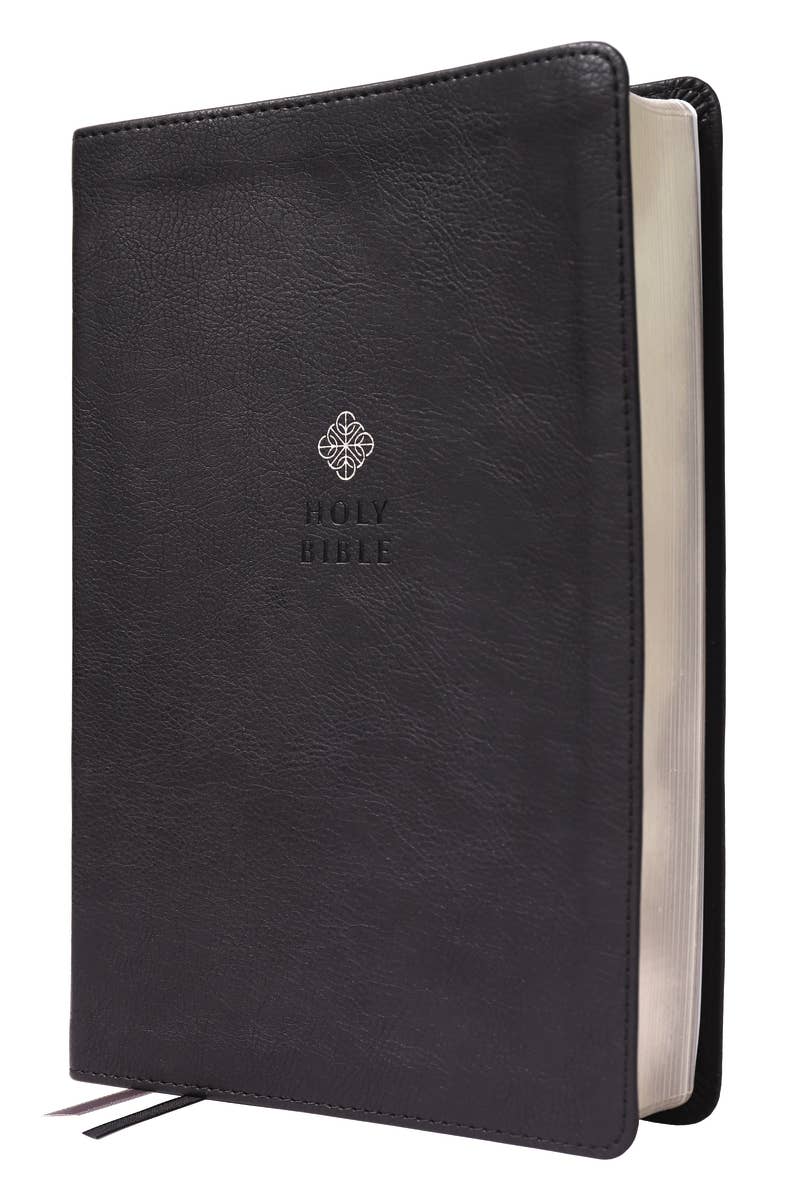 HarperCollins Christian Publishing - Wholesale Religion - NIV Men's Devotional Bible, Large Print, Leathersoft Black11