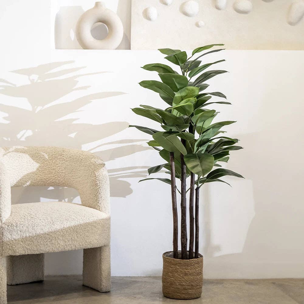 Maia Shop – wholesale Konstgjord växt – Konstgjord gummiplanta 180 cm0