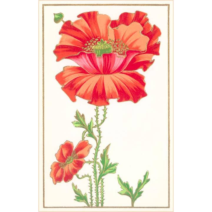 Postkarte FC-129 Mohnblumen für den Großhandel von Found Image Press