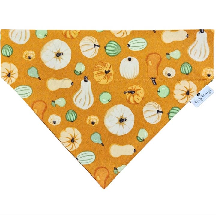 Bandana para Animais Abóbora Dourada por atacado de Mutty Mornings