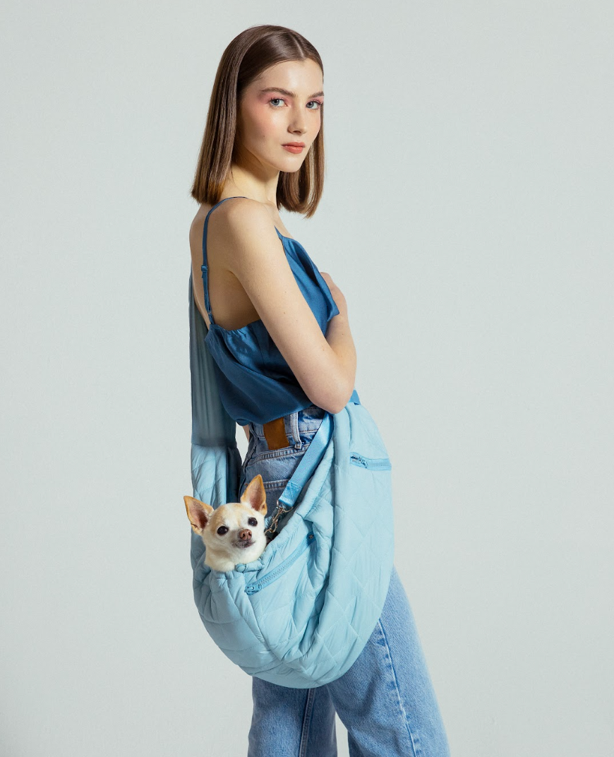 maxbone – Großhandel Haustier-Transportbox – Hund – maxbone Eco-kompakte Tragetasche in Himmelblau für Hunde1