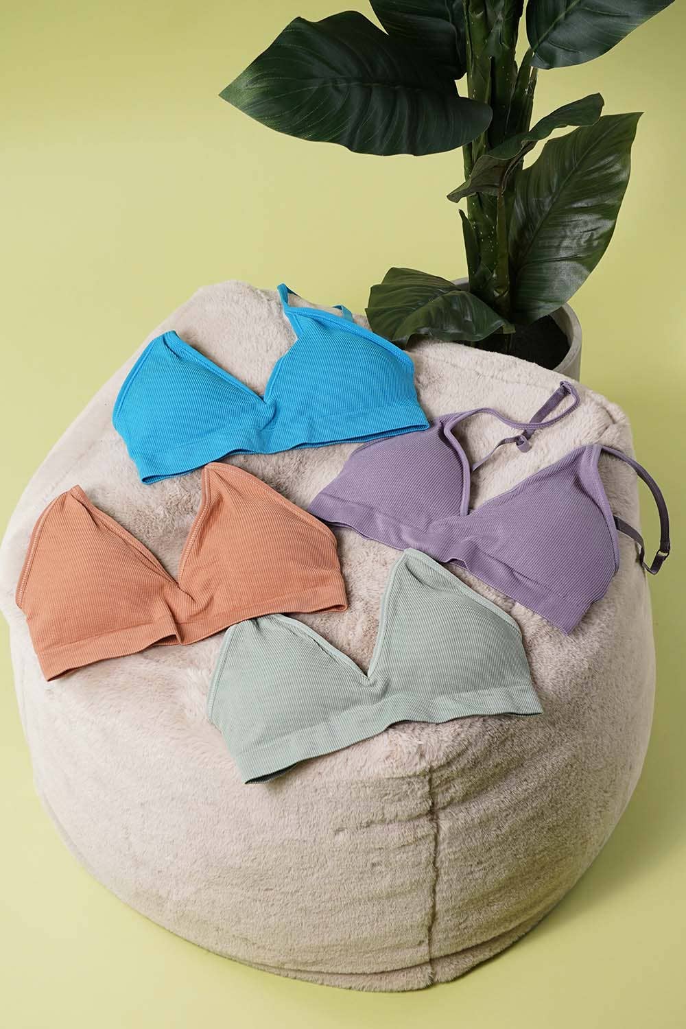 Amerikan Basics - Vente Brassière – femme - Brassières de mode assorties pour femmes5