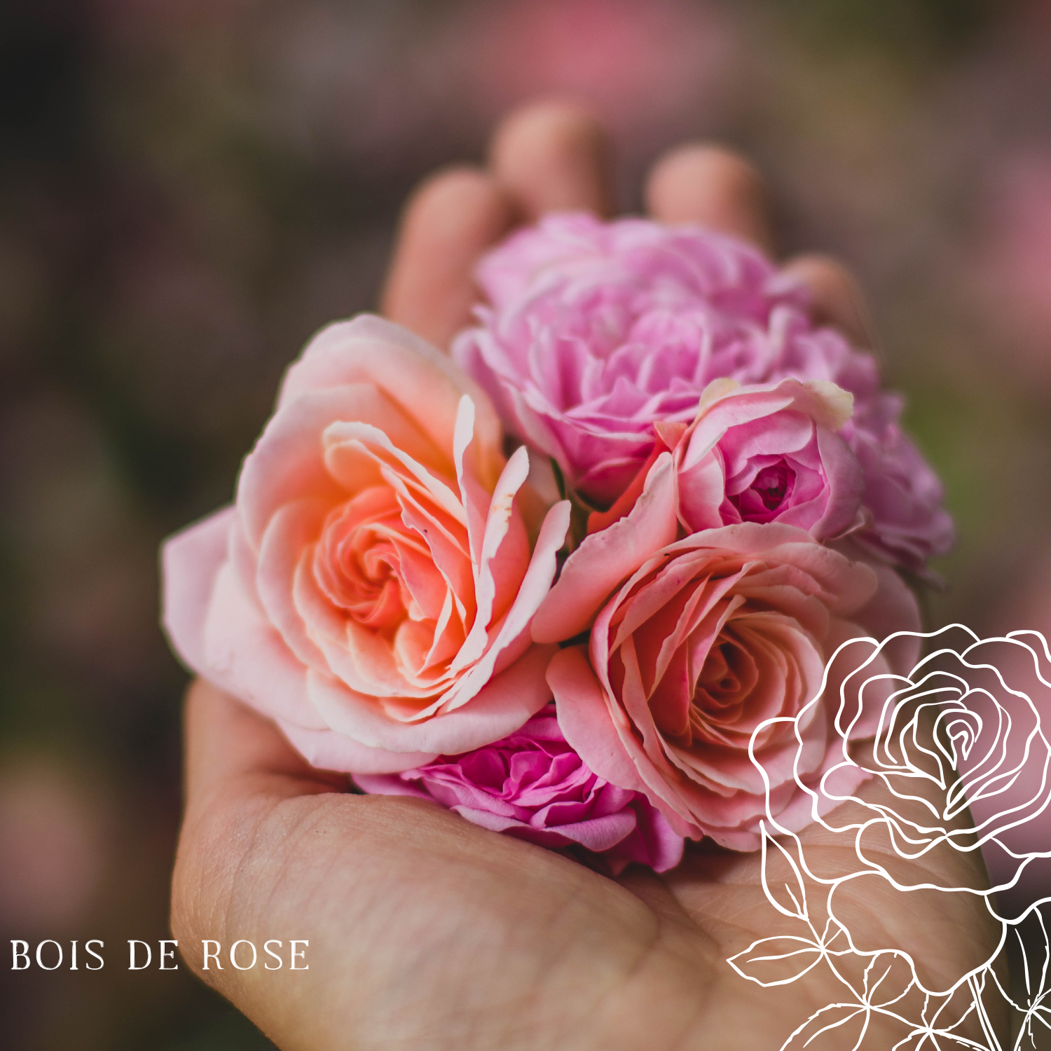 Leaves & Co - Wholesale Jar/Filled Candle - Bois De Rose Essential Collection Scented Candle3