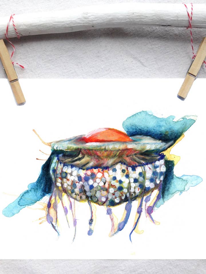 Stegt æg gelé fisk kunsttryk for engroshandel hos Lindsey Munson