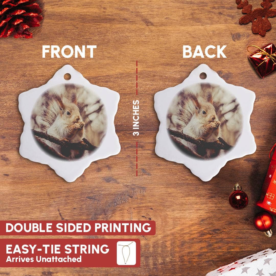 3dRose - Wholesale Ornament - 3dRose, Squirrel animal sits on a tree and eats a nut. Stylized photo, Ornament2