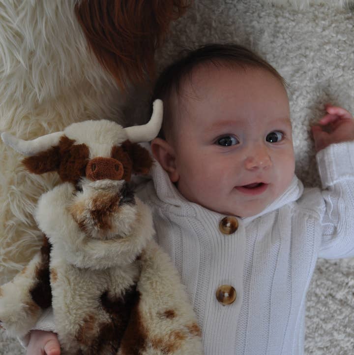 Jomanda Soft Toys & Accessories - UK Based - Wholesale Security/Cuddle Blanket - Baby - Texas Longhorn Baby Highland Cow Toy Soother Plush Comforter1