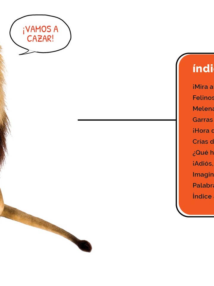 Los leones for wholesale by The Creative Company