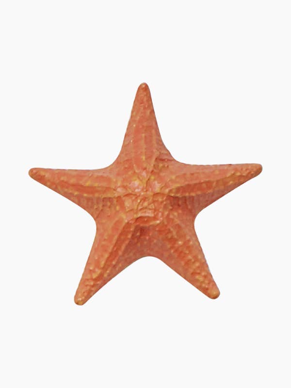 Étoile de mer pour la vente par Bluewave Fish Mounts