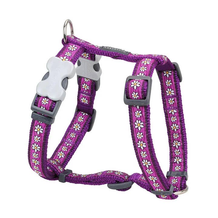 Red Dingo Dog H-Harness Design Daisy Chain Purple for wholesale by Sherwood Paws