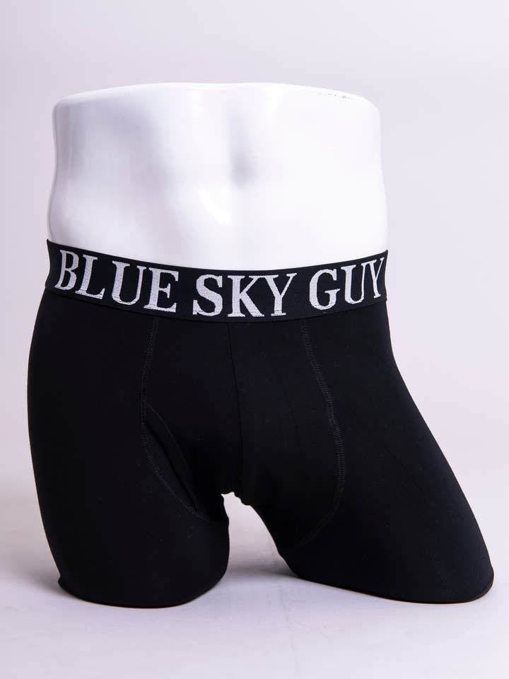 Boxer 2.0, noir, bambou pour la vente par Blue Sky Clothing Co LLC
