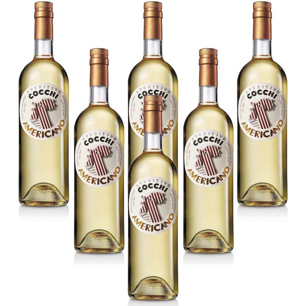 Metina SAS - Wholesale Cocktail Mix/Syrup - Cocchi White American Cocktail 75 cl.3