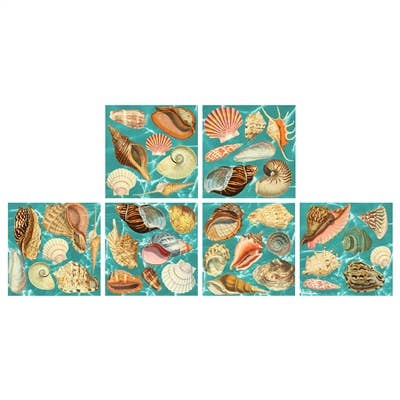 Sea Shells Matchbox - ANN420 for wholesale by World Buyers