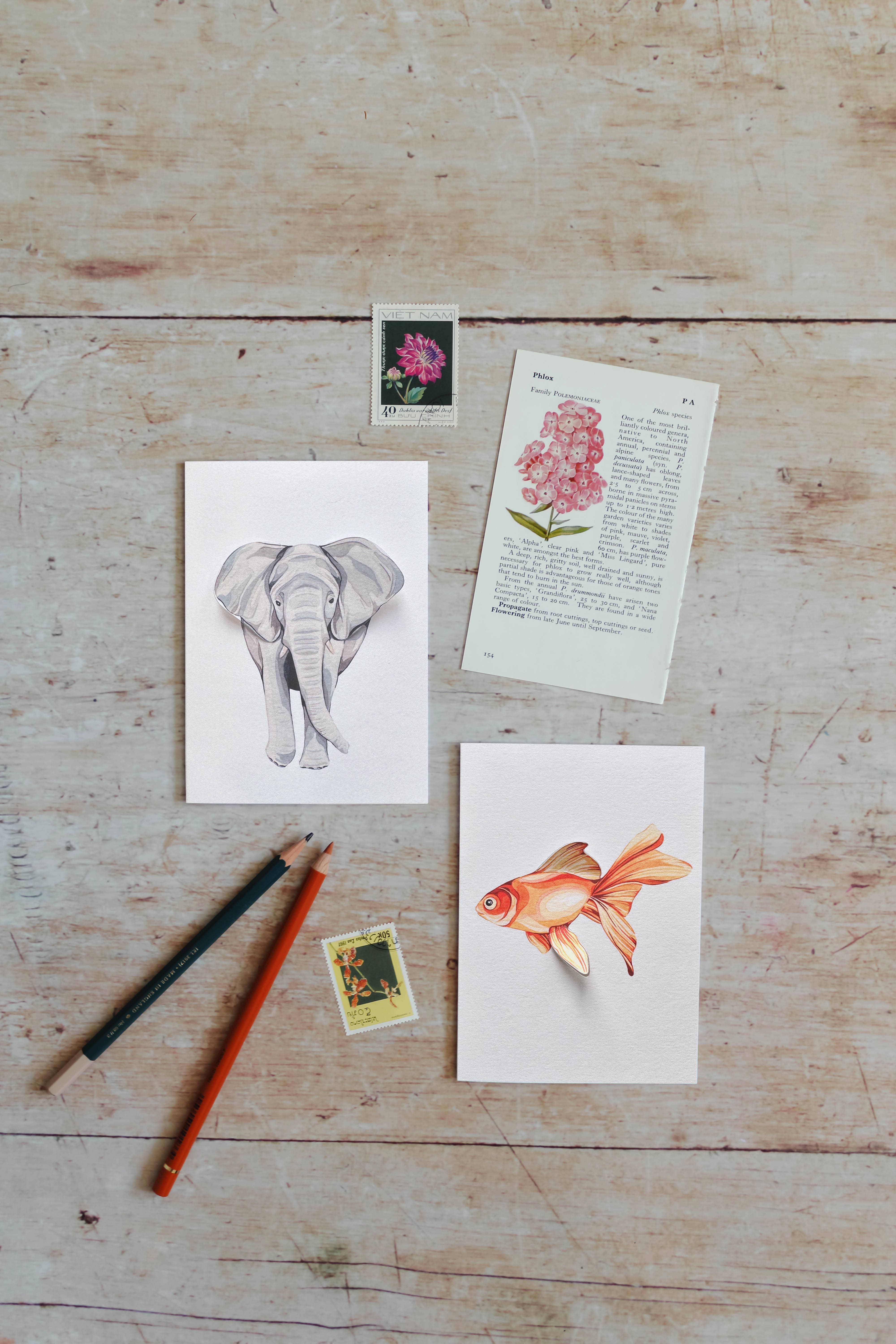 Sophie Brabbins - Wholesale Everyday Greeting Card - Elephant Pop Out Greetings Card1