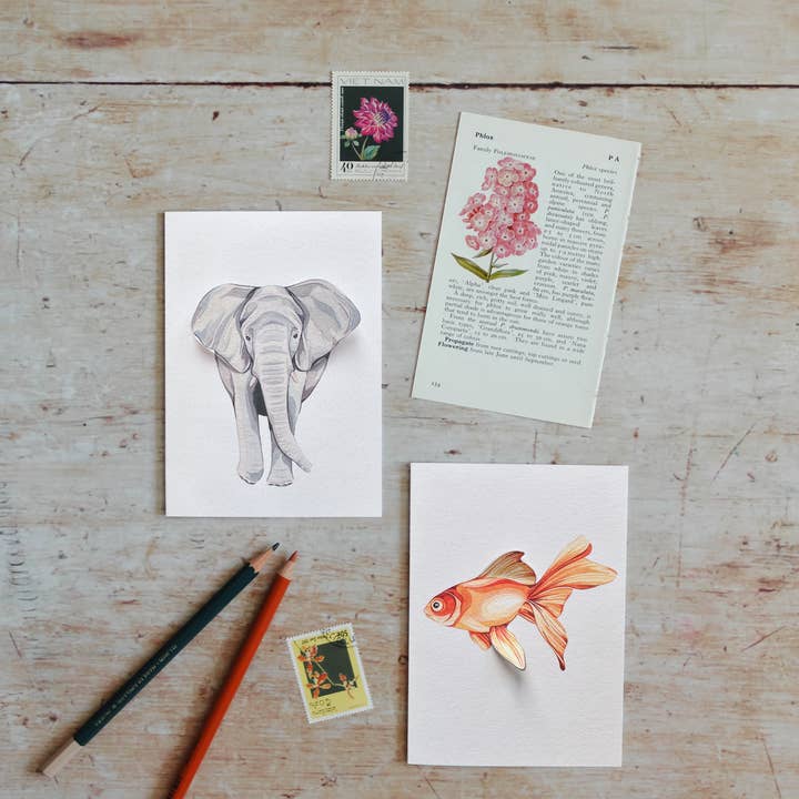 Sophie Brabbins - Wholesale Everyday Greeting Card - Goldfish Pop Out Greetings Card1