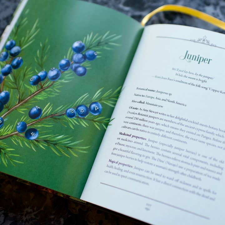 Red Wheel/Weiser LLC - Wholesale Nature & Outdoors - Enchanted Plants: A Treasury of Botanical Folklore and Magic1