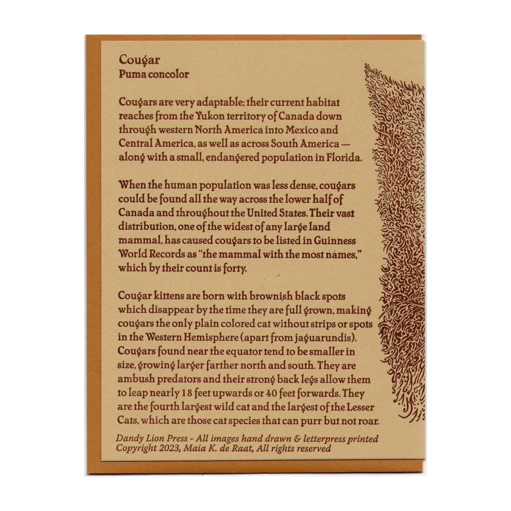 Dandy Lion Press - Wholesale Everyday Greeting Card - Cougar Mountain Lion Letterpress Card2