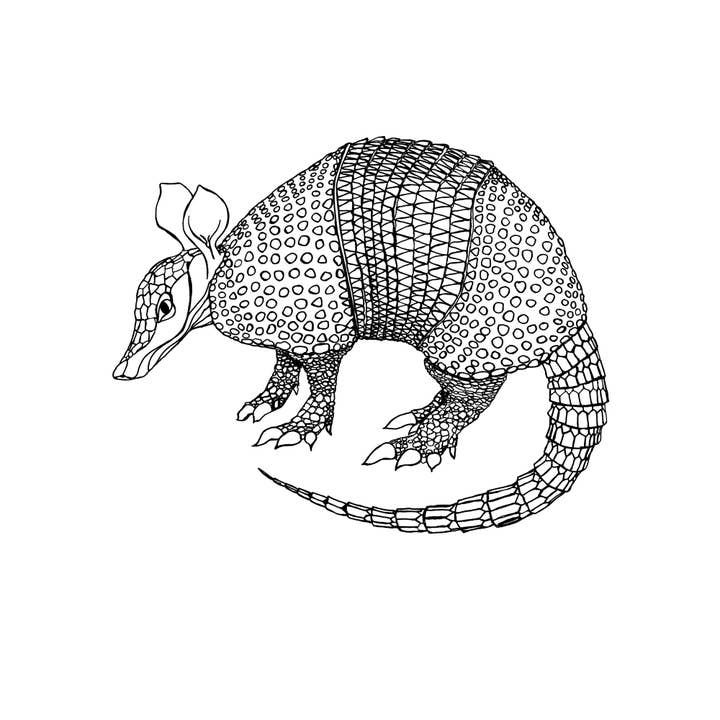 Supermaggie @ Faire - Wholesale Screen Printed T-Shirt - Women's - Armadillo Gwenn Heavyweight Tee6